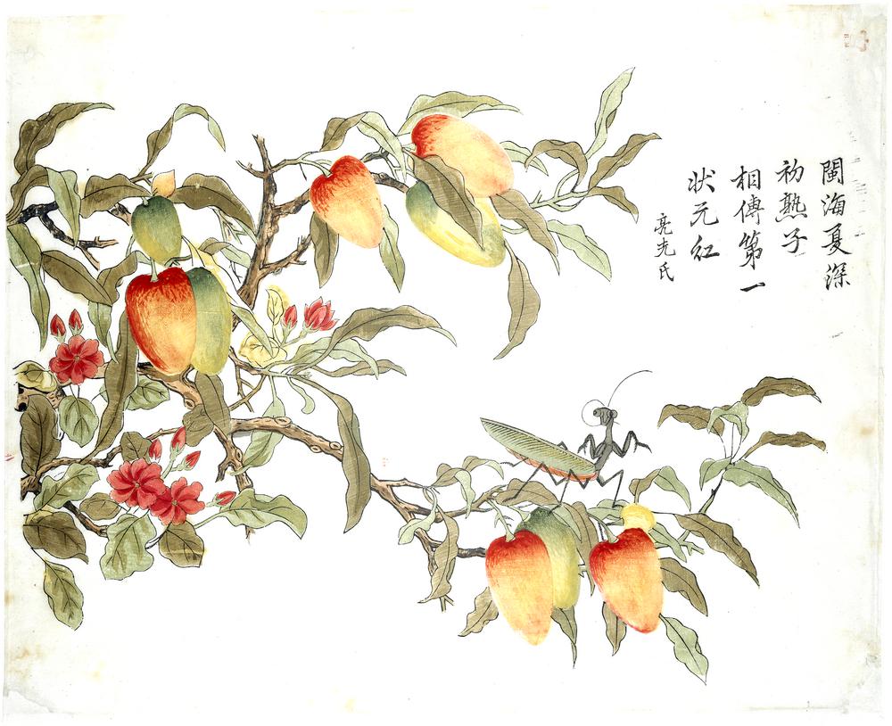 图片[1]-print BM-1906-1128-0.14-China Archive